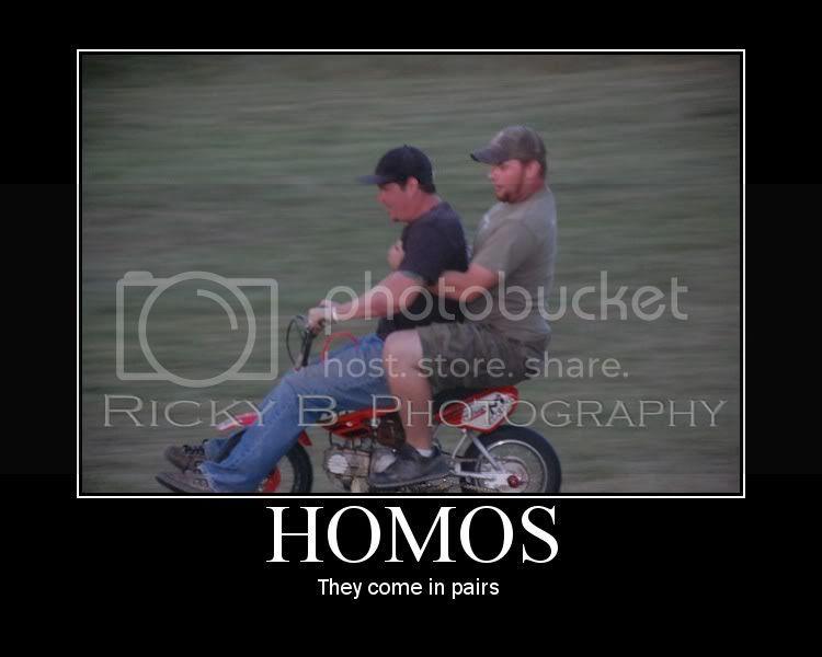 homos.jpg